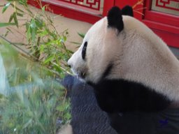 Tiergarten Schönbrunn am 20.10.2025